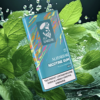 Alibarbar Nicotine Gum Mint